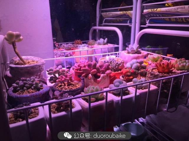 谈谈我对自己的看法,谈谈我对恋爱的看法