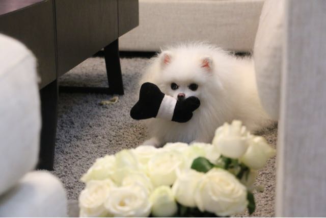 小姨子婚房装修,小姨子家装修房子