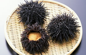 深圳旅游攻略深圳特产,深圳特产有哪些