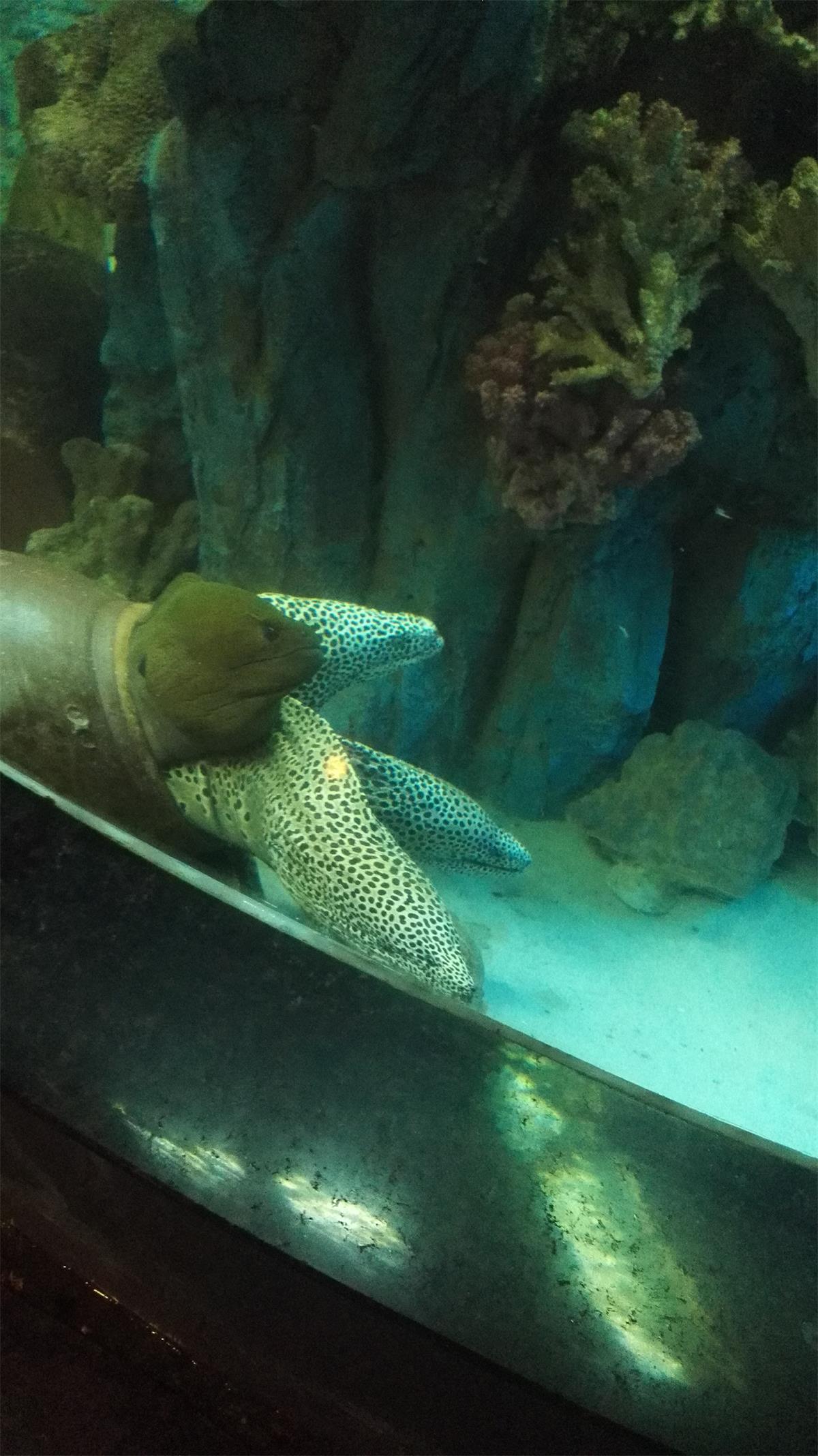 5天4夜玩转越南芽庄,越南芽庄90天