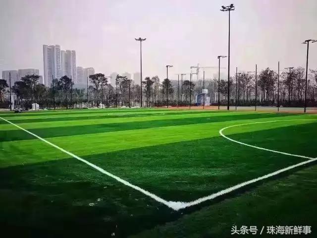 珠海现在还有哪些公园,美爆了的景点