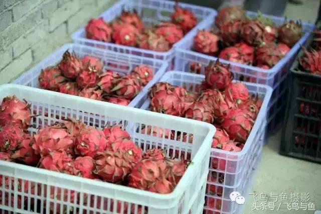 最好的旅游就是陪伴,一场美好的旅行是爱的陪伴