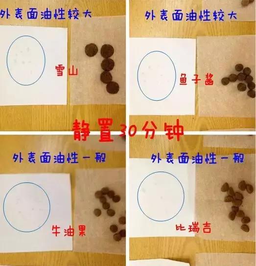 你真的知道该如何选择狗粮吗,如何选择合适的狗粮