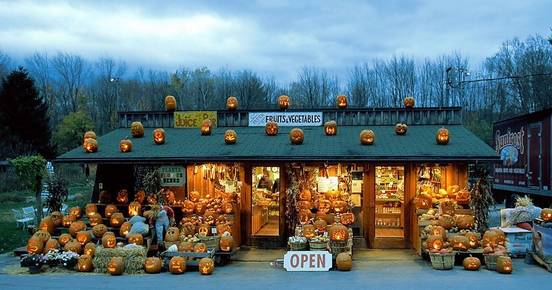 美国遇到车祸怎么办,在美国开车出事故怎么赔偿