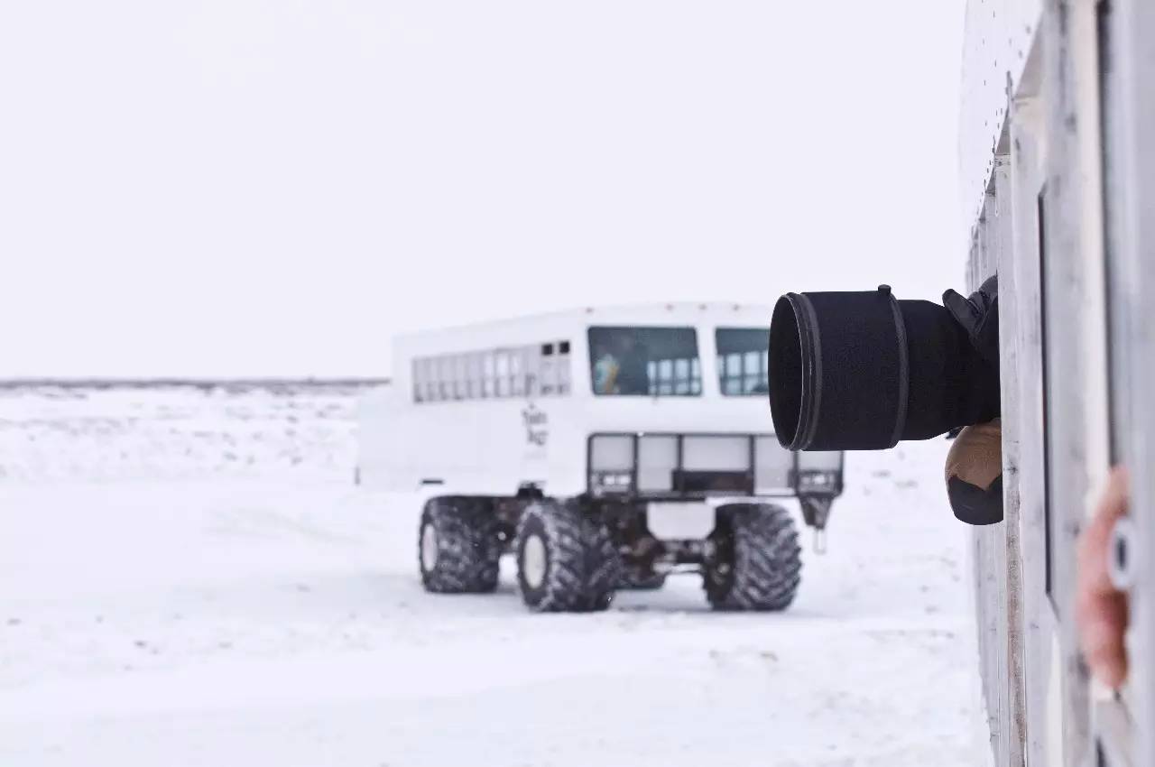 为什么这么多人要去加拿大,去加拿大最应该了解哪些事情