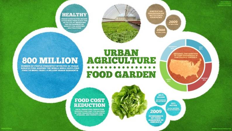 农业众筹怎么快速入门,农业众筹前景分析