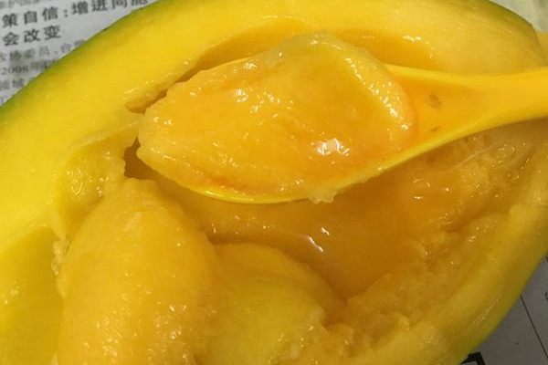 越南大青芒红标,越南大青芒有活动吗