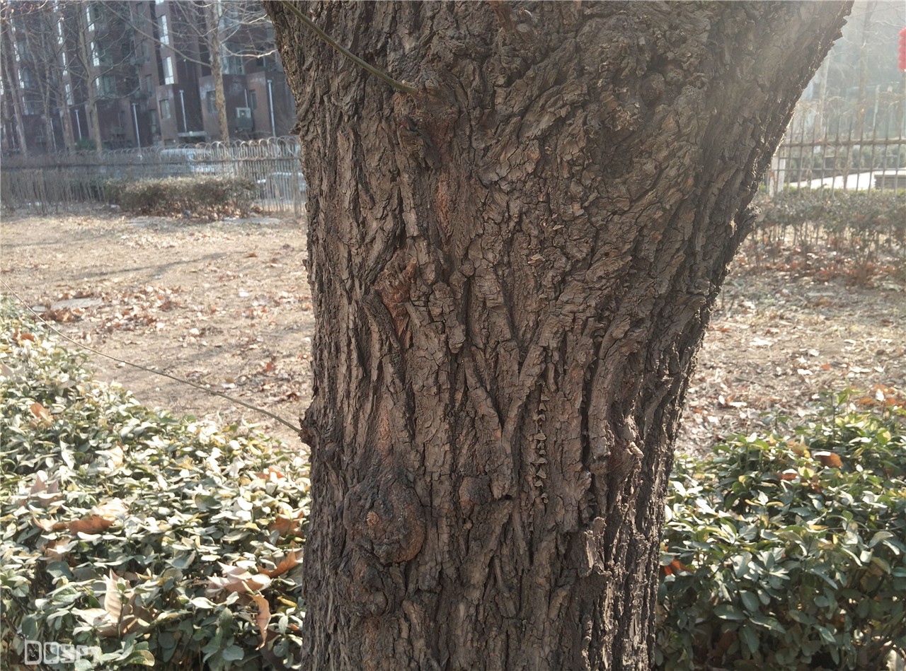 360手机极客版,手机360极客版