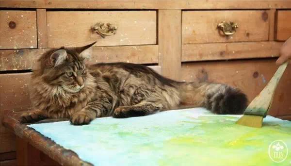 绘画对儿童情商培养的积极作用,绘画对自闭症儿童的治愈效果