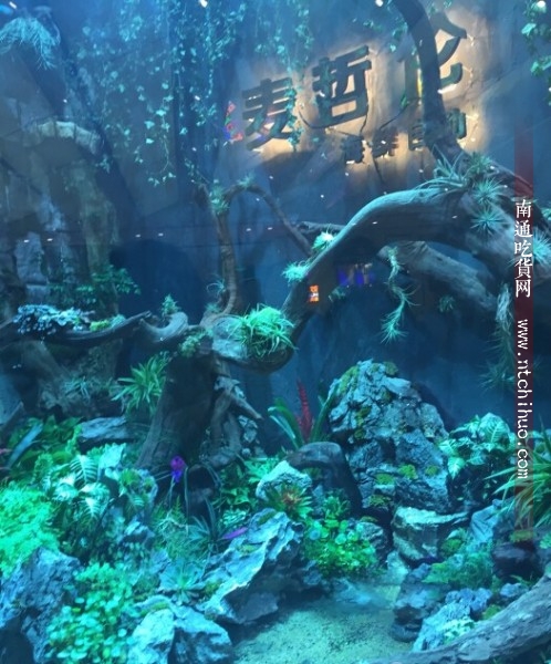 南通适合情侣约会的高端餐厅,南通适合情侣吃的清淡餐厅