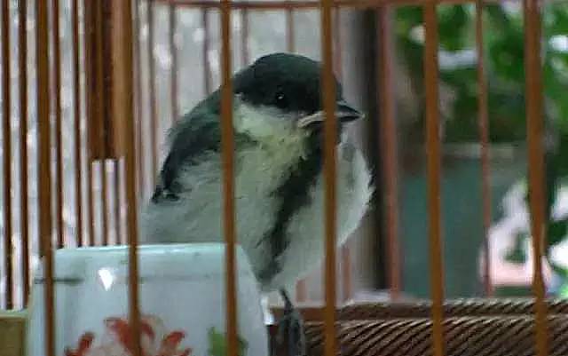 最具广州特色的街,广州有韵味的街道