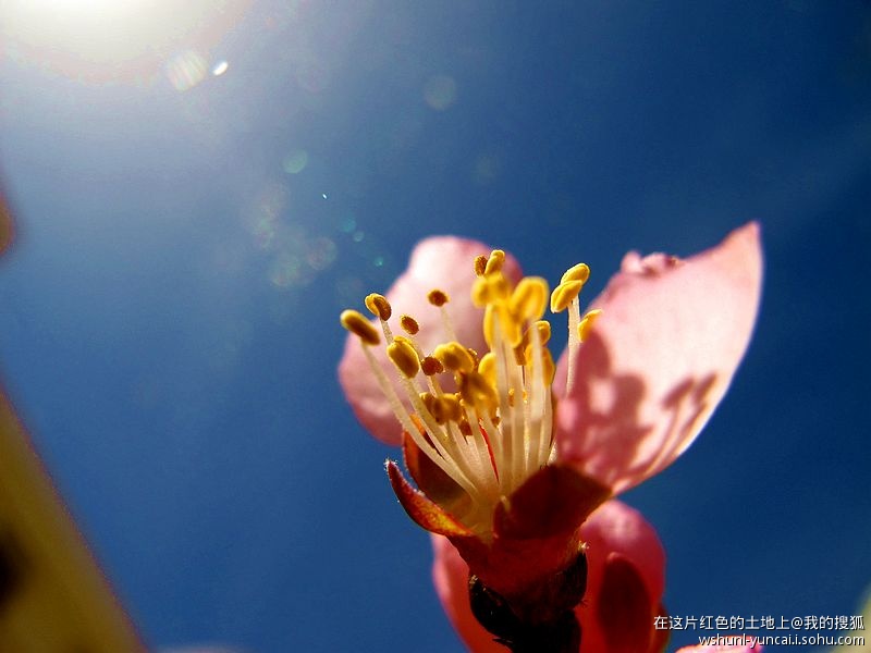 卡片机能拍出大片吗,卡片机能拍出压缩感吗