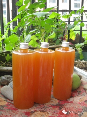 过季就来不及了，快去四明山上捡“黄金果”！（附全攻略）