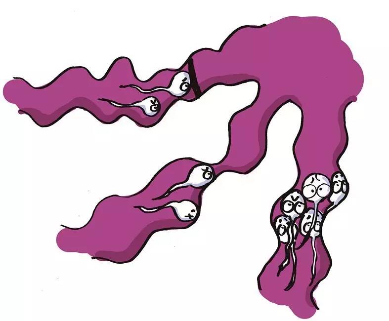 这是一篇比男人还了解“小蝌蚪”的文章