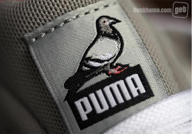 鸽王新作:StaplexPUMA“Pigeon”系列近赏