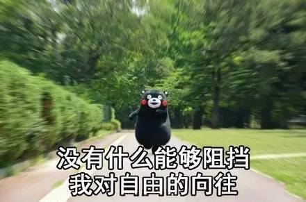 沈阳冷空气蓝天白云,冷空气来袭空气更清新天气变寒冷