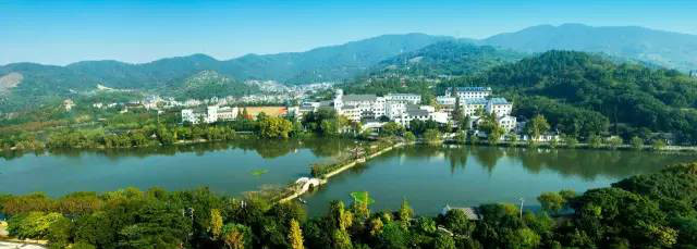 宁波十大重点小学排名,宁波十大小学