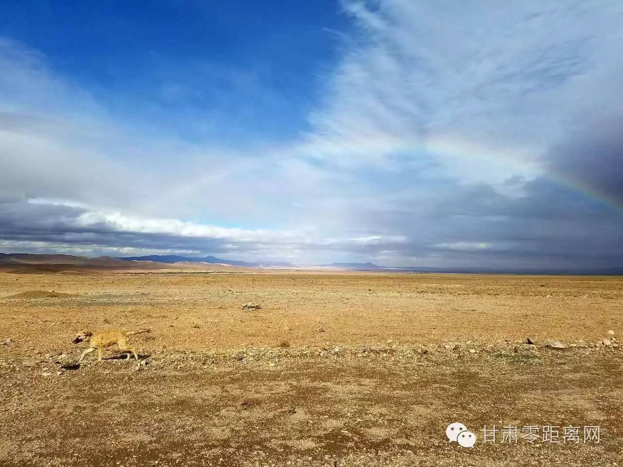 北非摩洛哥古城旅游,游览摩洛哥千年古城菲斯