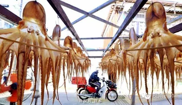 爱知县日间贺岛的章鱼饭SMAP精选集曲目公开等