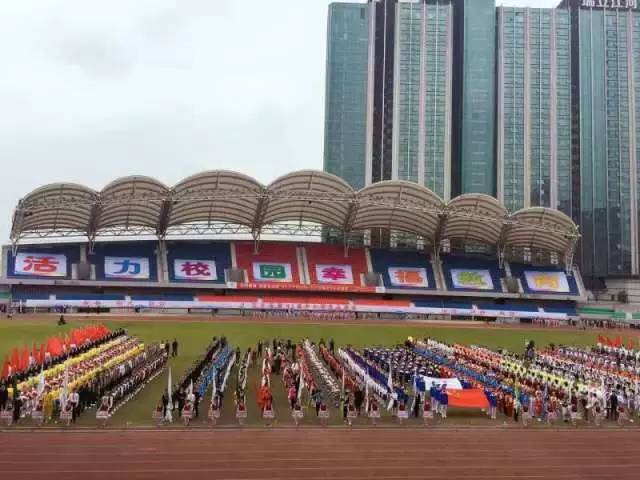 上演不一样的速度与激情,上演了现实版的速度与激情