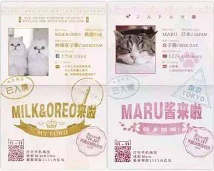 不如我们严肃地来聊一聊“卖萌”这件小事