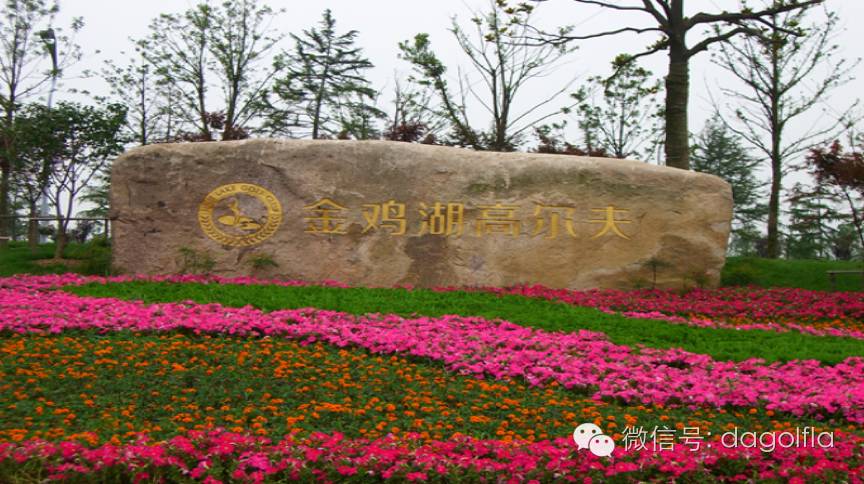 高尔夫优惠团购99元直播,国际高尔夫订场