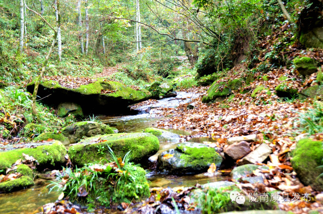 阳坝:遗落在时光深处的慢生活
