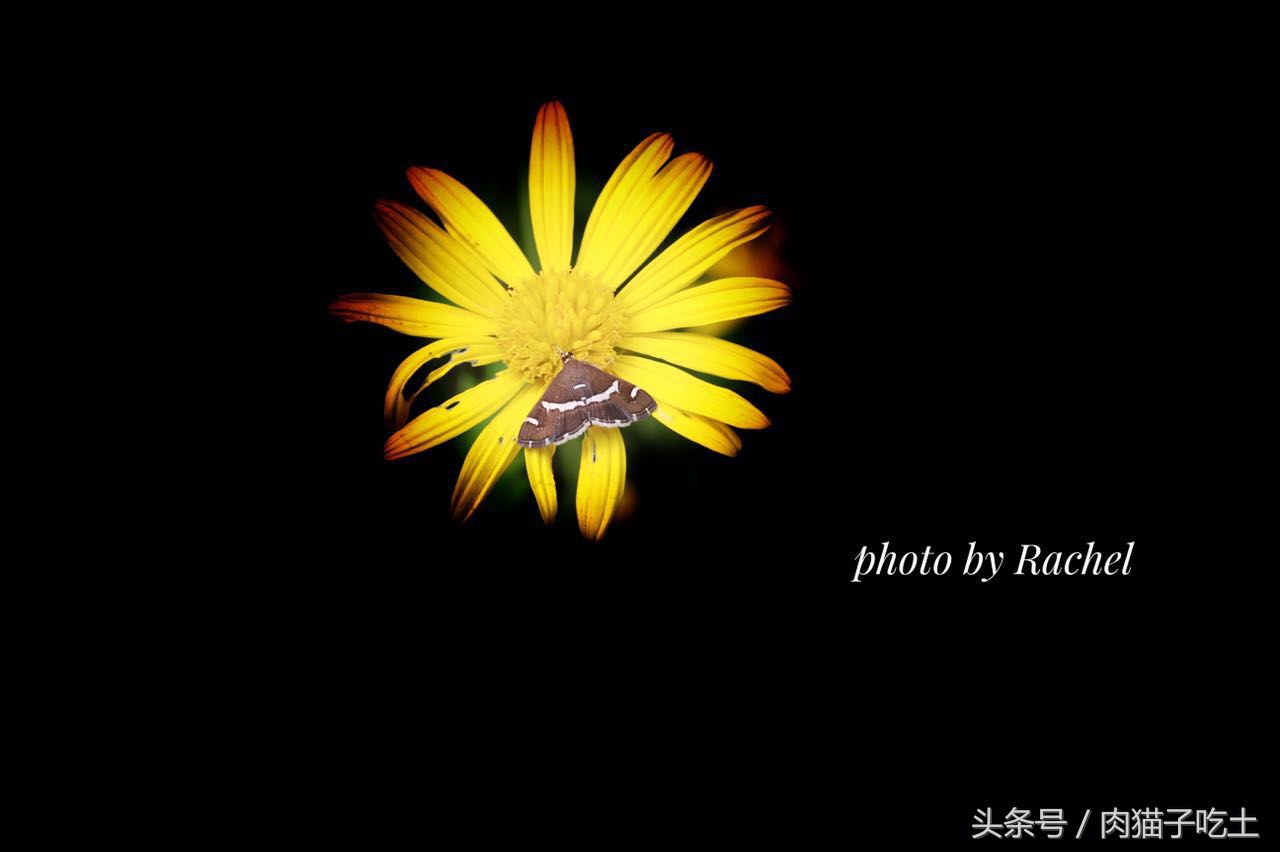 用手机如何把照片p成蓝底,手机设置背景变黑色怎么调回来