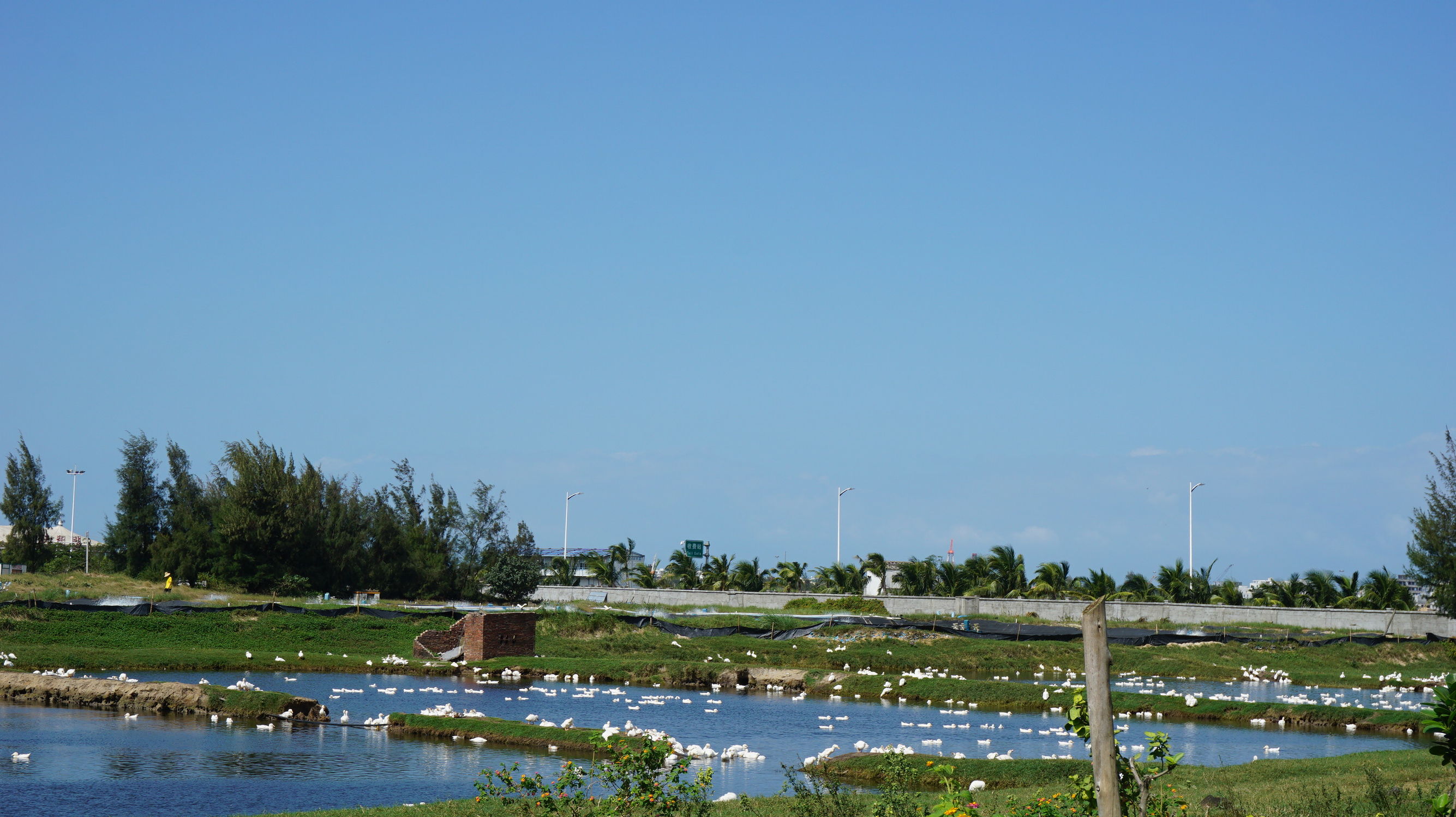 从北漂到东北,从北漂到北大
