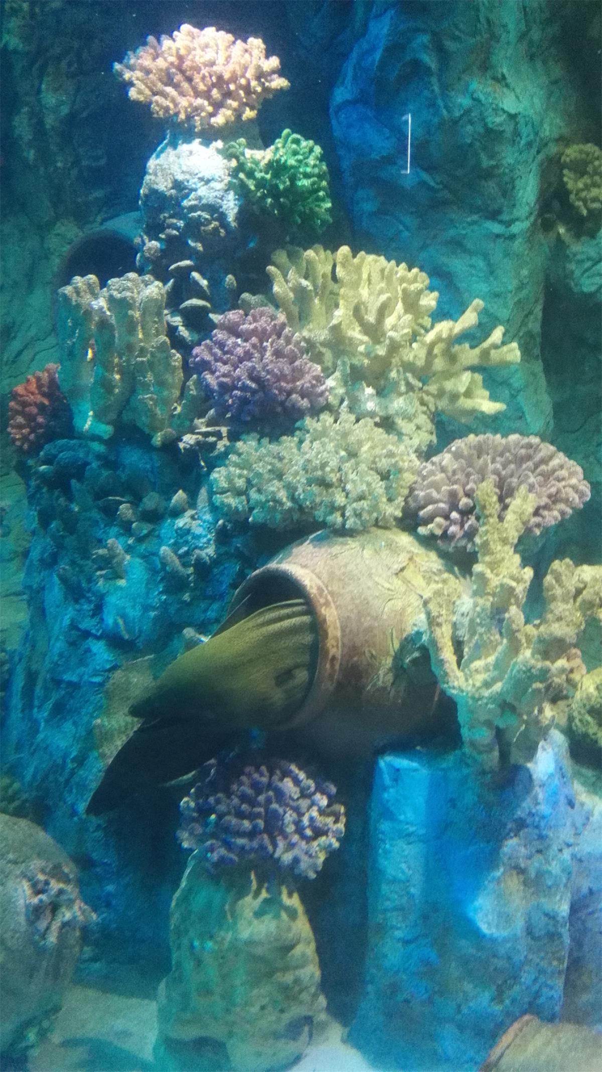 记录越南芽庄之旅第六天 (越南芽庄值得去吗)