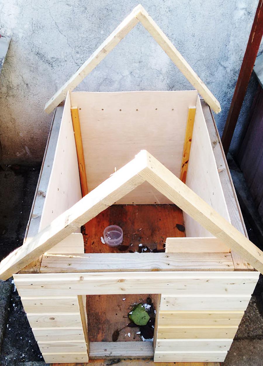 自建狗窝室外需要多少砖,自建砖头狗窝教程