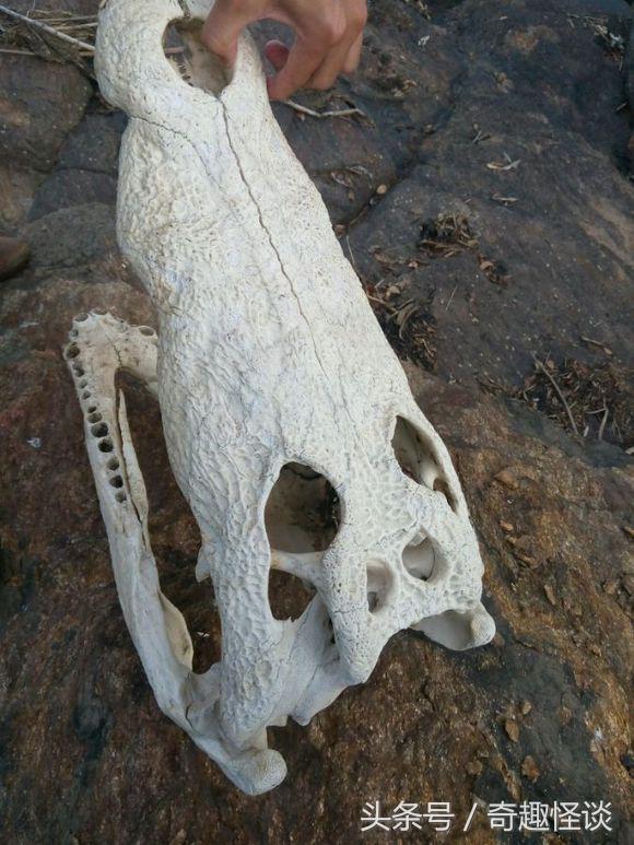 我在非洲工作的日子，给大家介绍下非洲的风土人情