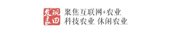 农资电商和农业电商平台,农资电商靠自然流量赚钱