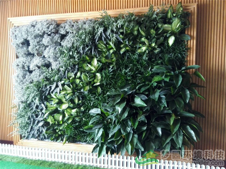 植物墙的弊端,植物墙实用吗