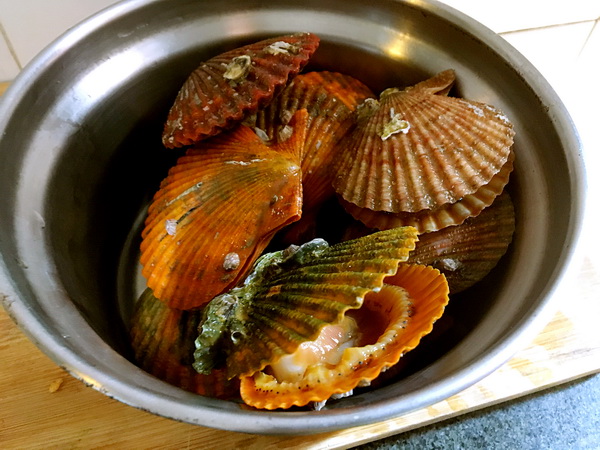 爱秀食堂-甘树子蒸石斑鱼奶香焗扇贝