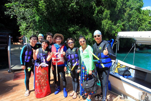 帕劳海底鲨鱼图片大全,帕劳海洋奇观之谜