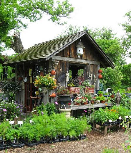 适合农家乐的特色菜10个人吃,这个周六带你去吃地道农家菜