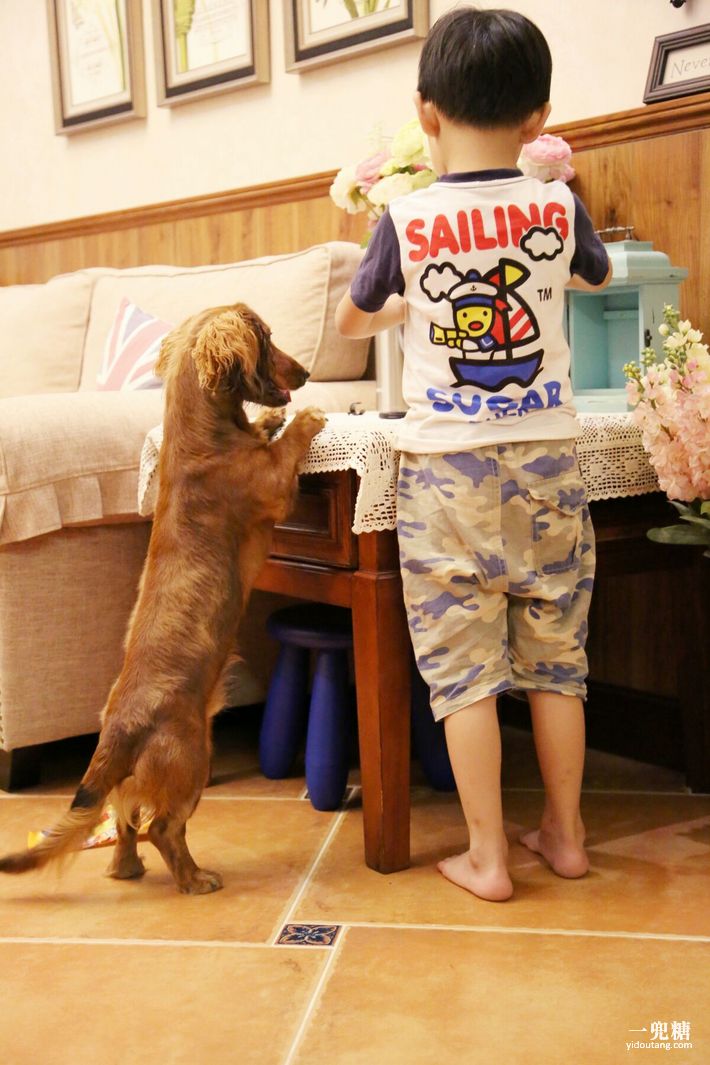 哪一种电暖炉比较好,轻奢电暖炉