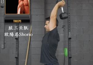 健身你只需练这9个动作就可以训练到全身肌肉尤其适合初学者