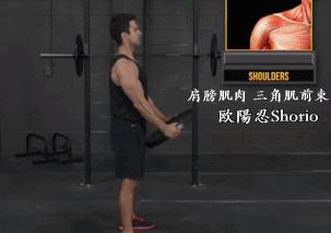 健身你只需练这9个动作就可以训练到全身肌肉尤其适合初学者