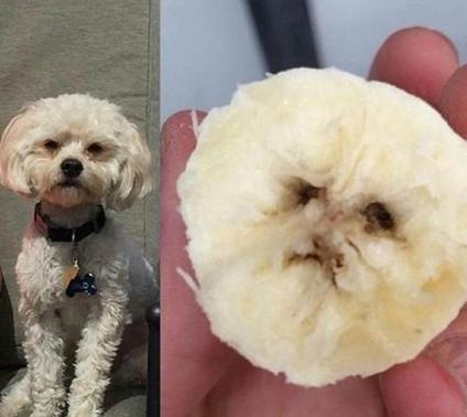 9元砂锅大嘴猴的做法,食堂现砂锅大嘴猴