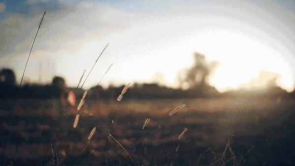 毕业七年，我再也找不到一起踢球的兄弟