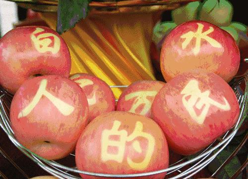 西安离白水有多少公里,白水县隔西安有多远呢