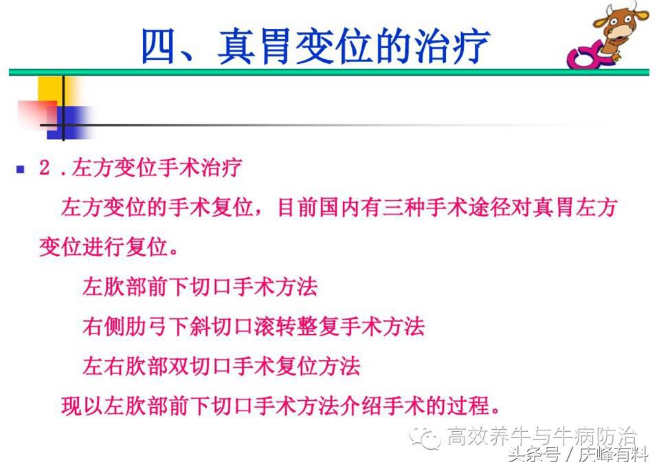 奶牛真胃扩张的症状治疗方法,奶牛皱胃左方变位治疗方法