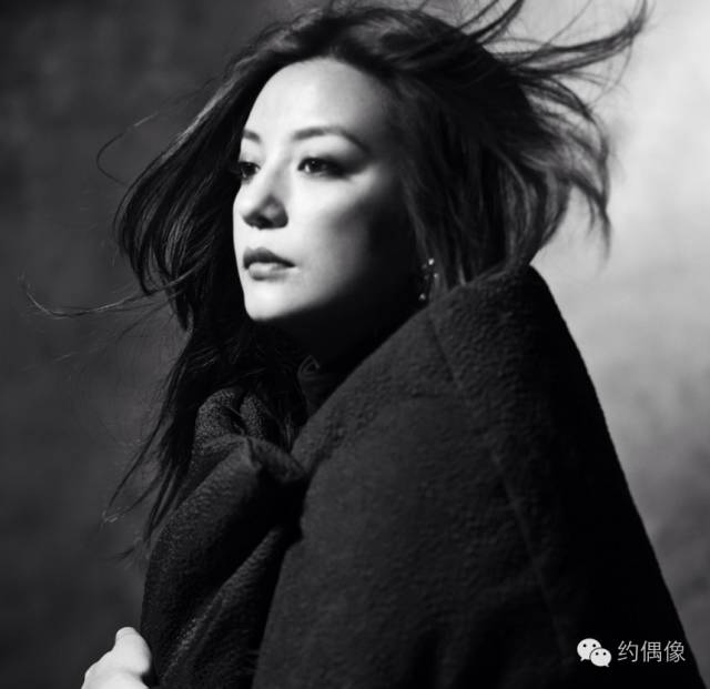 木兰花赵薇主题曲,木兰花赵薇电影版