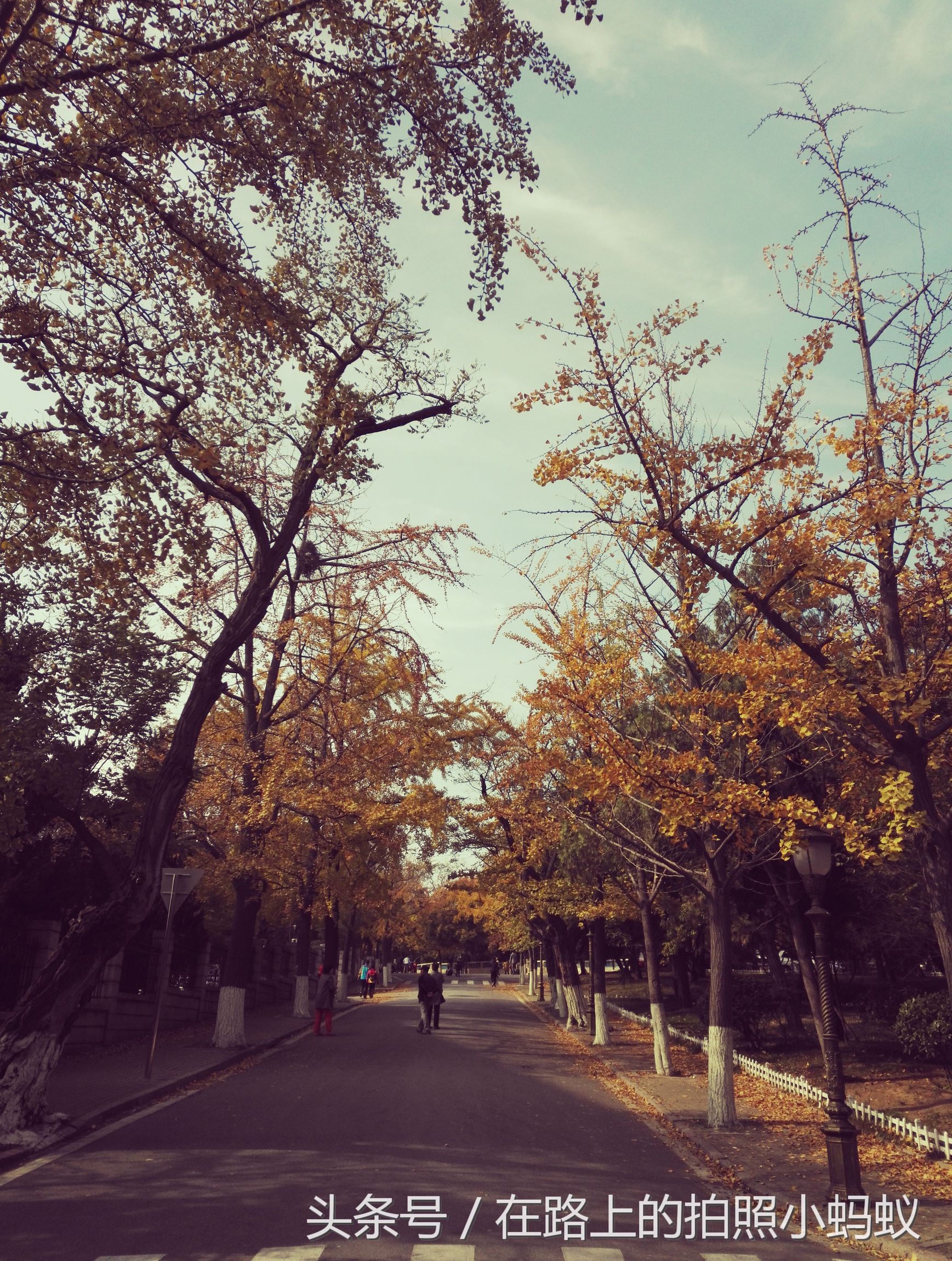 双十一来了这份不剁手攻略请收好,剁手的双十一攻略