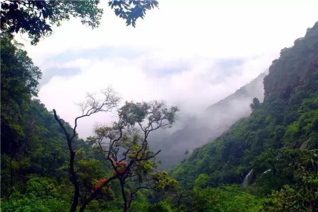 九州驿站二日旅游,广州游客来南澳
