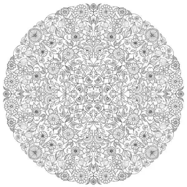 凭本264字成人图书却“莫名其妙”风靡了全球！狂销300万册