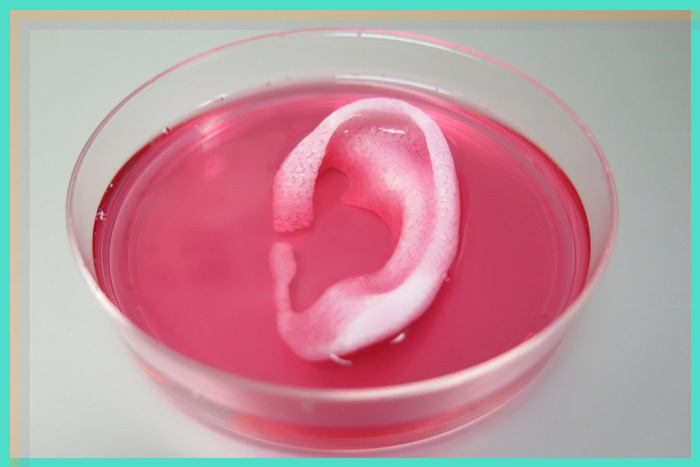 techworld最炫黑科技,高效3d打印产品