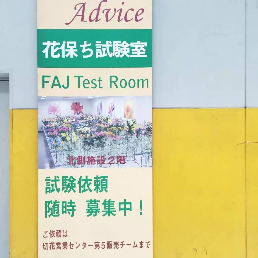 东京花店,东京南青山花店